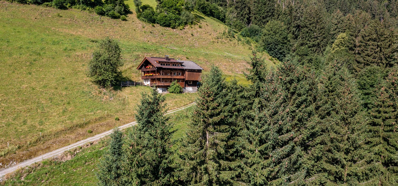 Wildauhof Alm Hütte